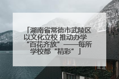 湖南省常德市武陵区以文化立校 推动办学“百花齐放”——每所学校都“精彩”