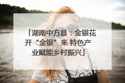 湖南中方县：金银花开“金银”来 特色产业赋能乡村振兴