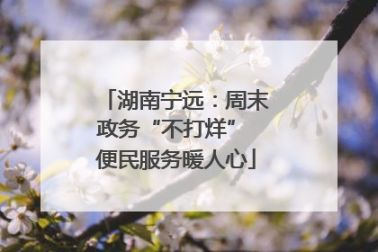 湖南宁远：周末政务“不打烊” 便民服务暖人心
