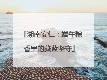 湖南安仁：端午粽香里的藏蓝坚守