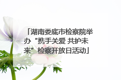 湖南娄底市检察院举办“携手关爱 共护未来”检察开放日活动