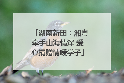 湖南新田：湘粤牵手山海情深 爱心捐赠情暖学子