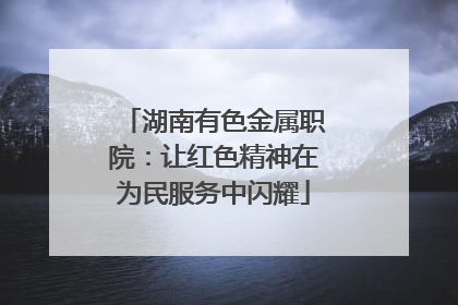 湖南有色金属职院：让红色精神在为民服务中闪耀
