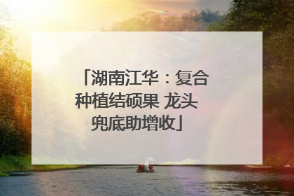 湖南江华：复合种植结硕果 龙头兜底助增收