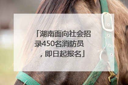 湖南面向社会招录450名消防员，即日起报名