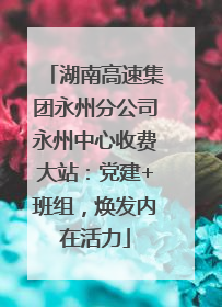 湖南高速集团永州分公司永州中心收费大站：党建+班组，焕发内在活力