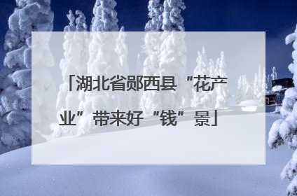 湖北省郧西县“花产业”带来好“钱”景