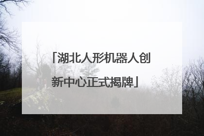 湖北人形机器人创新中心正式揭牌