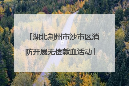 湖北荆州市沙市区消防开展无偿献血活动