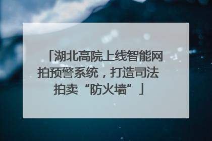 湖北高院上线智能网拍预警系统，打造司法拍卖“防火墙”