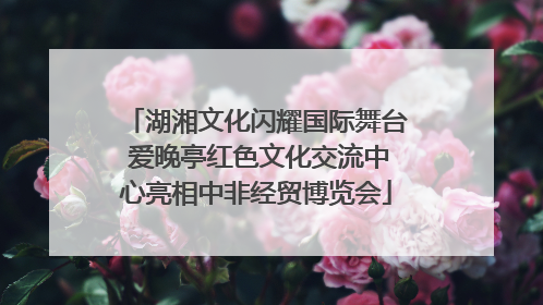 湖湘文化闪耀国际舞台 爱晚亭红色文化交流中心亮相中非经贸博览会