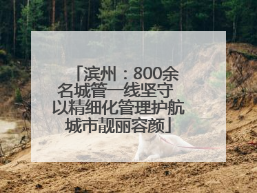 滨州：800余名城管一线坚守 以精细化管理护航城市靓丽容颜
