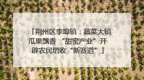 荆州区李埠镇：蔬菜大镇瓜果飘香 “甜蜜产业”开辟农民增收“新赛道”