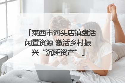 莱西市河头店镇盘活闲置资源 激活乡村振兴“沉睡资产”