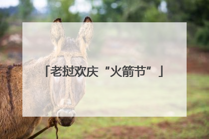老挝欢庆“火箭节”