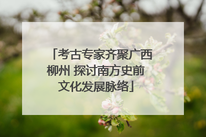考古专家齐聚广西柳州 探讨南方史前文化发展脉络