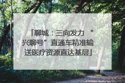 聊城：三向发力 “兴聊号”直通车精准输送医疗资源直达基层