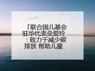 联合国儿基会驻华代表桑爱玲：致力于减少碳排放 帮助儿童适应气候变化