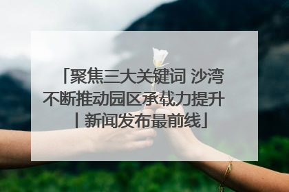 聚焦三大关键词 沙湾不断推动园区承载力提升丨新闻发布最前线
