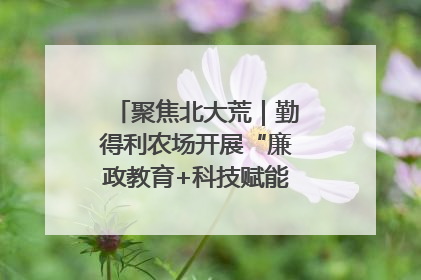 聚焦北大荒｜勤得利农场开展“廉政教育+科技赋能”主题党日活动