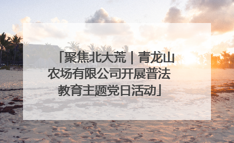 聚焦北大荒｜青龙山农场有限公司开展普法教育主题党日活动