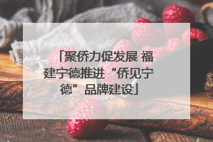 聚侨力促发展 福建宁德推进“侨见宁德”品牌建设