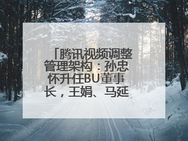 腾讯视频调整管理架构：孙忠怀升任BU董事长，王娟、马延琨任联席总裁
