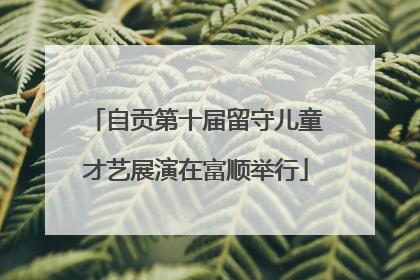 自贡第十届留守儿童才艺展演在富顺举行