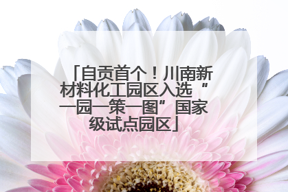 自贡首个！川南新材料化工园区入选“一园一策一图”国家级试点园区