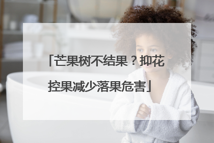 芒果树不结果？抑花控果减少落果危害