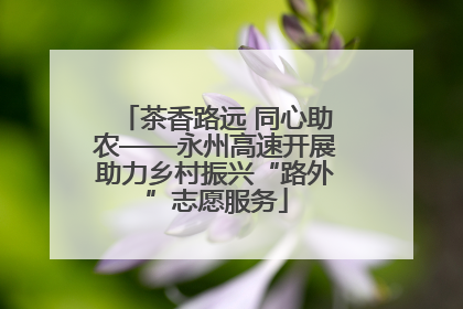 茶香路远 同心助农——永州高速开展助力乡村振兴“路外”志愿服务