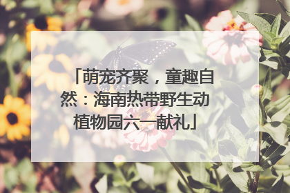 萌宠齐聚，童趣自然：海南热带野生动植物园六一献礼