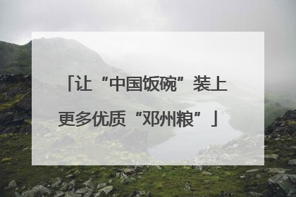让“中国饭碗”装上更多优质“邓州粮”