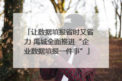 让数据填报省时又省力 禹城全面推进“企业数据填报一件事”