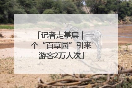 记者走基层｜一个“百草园”引来游客2万人次