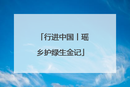 行进中国丨瑶乡护绿生金记