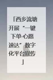西乡流塘开展“一键下单·心愿速达”数字化平台宣传