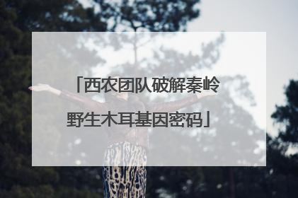 西农团队破解秦岭野生木耳基因密码