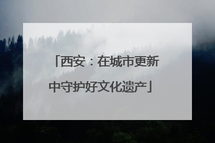 西安：在城市更新中守护好文化遗产