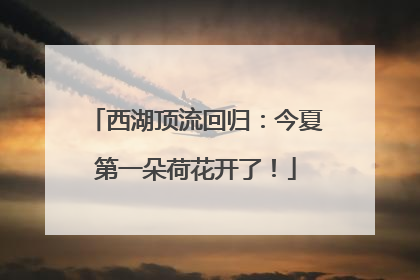 西湖顶流回归：今夏第一朵荷花开了！