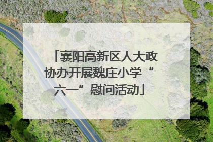襄阳高新区人大政协办开展魏庄小学“六一”慰问活动
