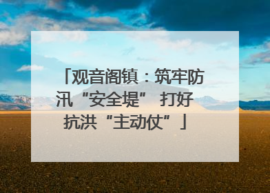 观音阁镇：筑牢防汛“安全堤” 打好抗洪“主动仗”