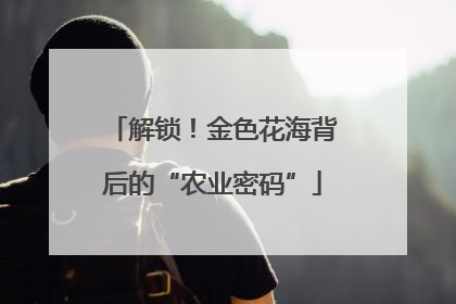 解锁！金色花海背后的“农业密码”
