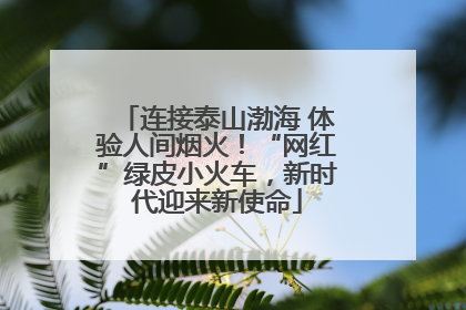 连接泰山渤海 体验人间烟火！“网红”绿皮小火车，新时代迎来新使命