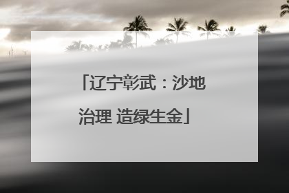 辽宁彰武：沙地治理 造绿生金