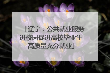 辽宁：公共就业服务进校园促进高校毕业生高质量充分就业