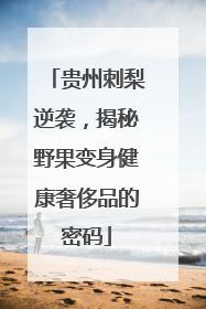 贵州刺梨逆袭，揭秘野果变身健康奢侈品的密码
