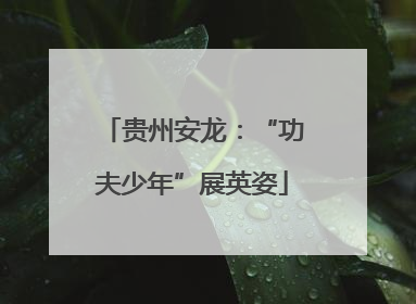 贵州安龙：“功夫少年”展英姿