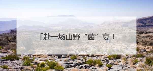 赴一场山野“菌”宴！晋宁六街文旅节启幕