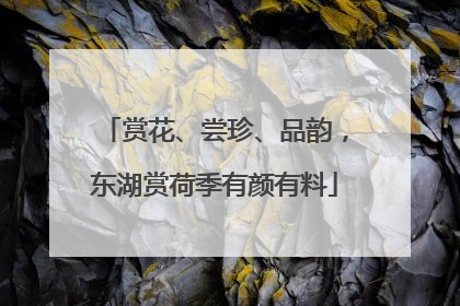赏花、尝珍、品韵，东湖赏荷季有颜有料
